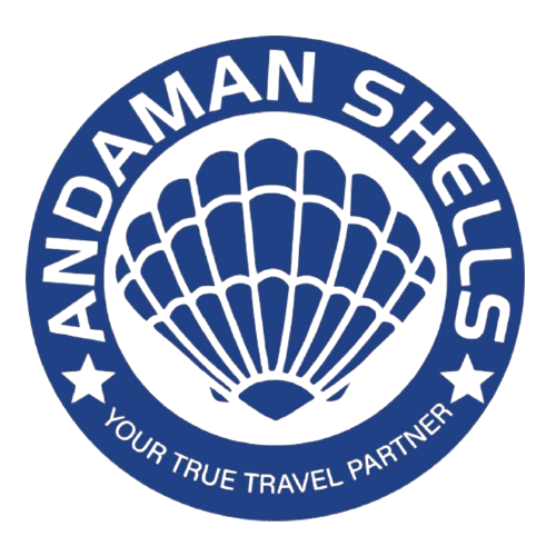 Andaman Shells Logo