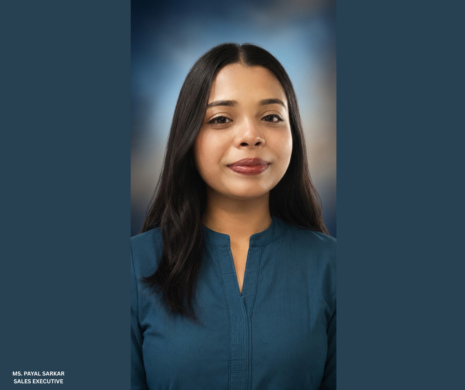 Sales Executive